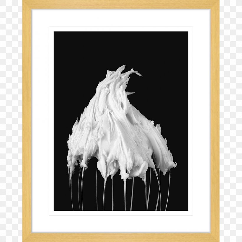 Whisk Kitchen Blender Photography, PNG, 1000x1000px, Whisk, Black And White, Blender, Feather, Flower Download Free
