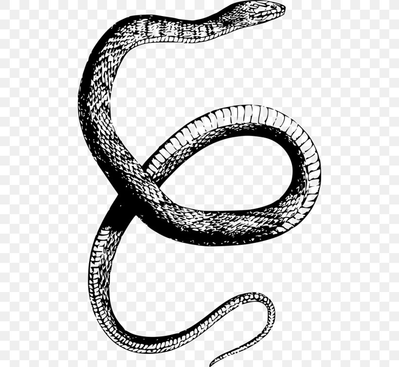 Banded Water Snake Reptile Drawing Clip Art, PNG, 500x754px, Snake, Banded Water Snake, Black And White, Body Jewelry, Copperhead Download Free