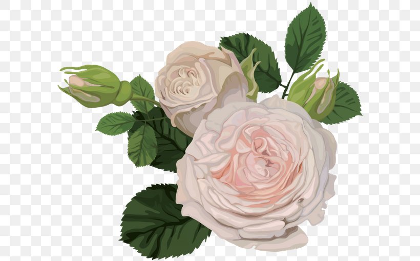 Garden Roses Flower China Rose Floral Design, PNG, 600x509px, Garden Roses, Artificial Flower, Cabbage Rose, China Rose, Cut Flowers Download Free