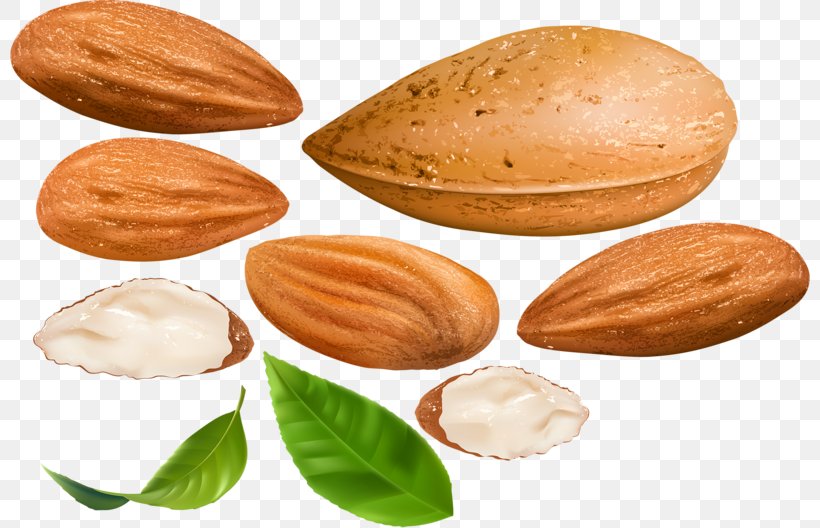 Nut Almond Dried Fruit Apricot Kernel, PNG, 800x528px, Nut, Almond, Android, Apricot, Apricot Kernel Download Free