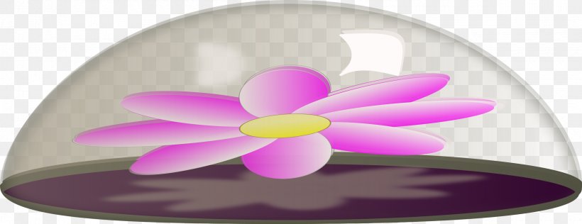 Paperweight Flower Glass, PNG, 2400x926px, Paper, Description, Floral Design, Flower, Glass Download Free