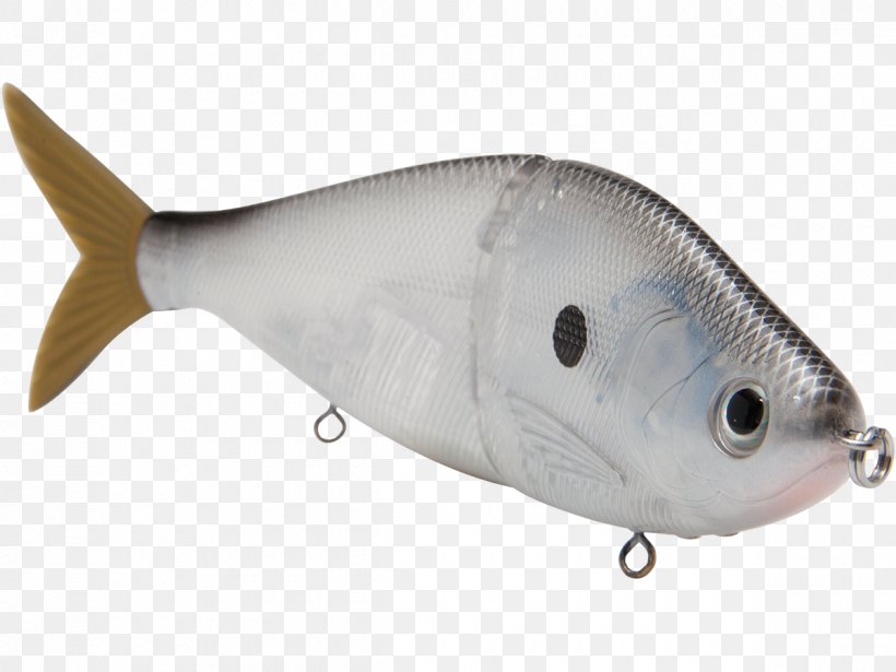 Plug Swimbait Milkfish Fishing Baits & Lures Fishing Tackle, PNG, 1200x900px, Plug, Bait, Bluegill, Bony Fish, Fish Download Free