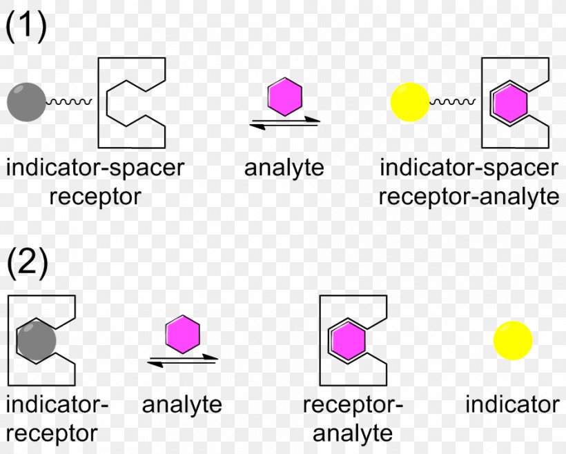 binding-selectivity-receptor-ligand-pharmacology-chemical-specificity