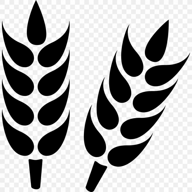 Clip Art Wheat Vector Graphics Grain, PNG, 1200x1200px, Wheat, Agriculture, Blackandwhite, Cereal, Ear Download Free