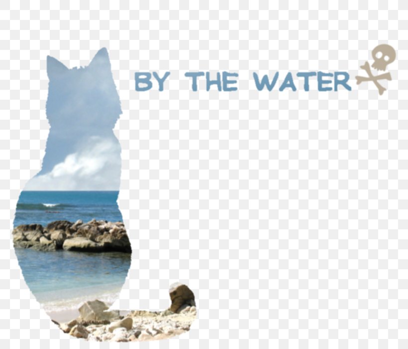 Desktop Wallpaper Sea Water Ocean Font, PNG, 800x700px, Sea, Arctic, Computer, Microsoft Azure, Ocean Download Free