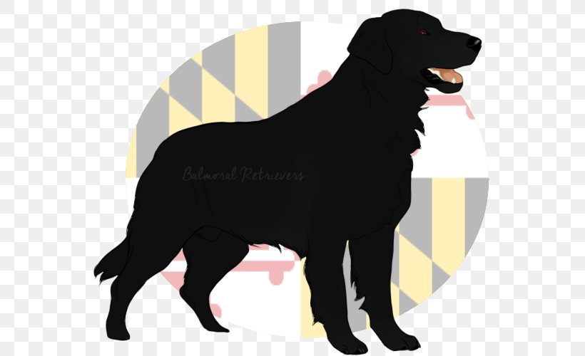 Labrador Retriever Flat-Coated Retriever Dog Breed Borador, PNG, 587x500px, Labrador Retriever, Borador, Breed, Carnivoran, Dog Download Free