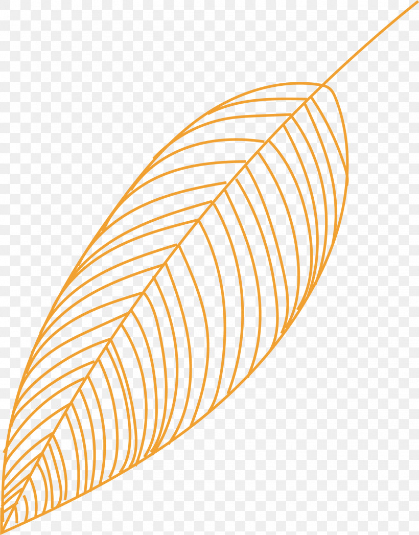Leaf Angle Line Font Meter, PNG, 1533x1958px, Leaf, Angle, Biology, Line, Meter Download Free