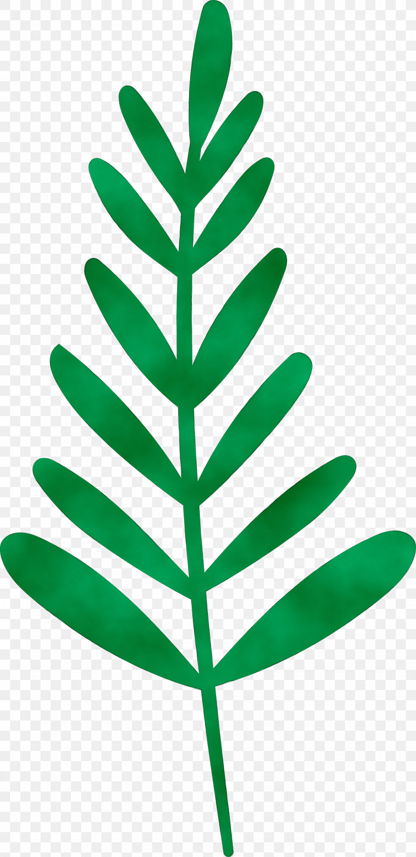 Leaf Plant Stem M-tree Line Lawn, PNG, 1940x3997px, Watercolor, Biology, Lawn, Leaf, Line Download Free