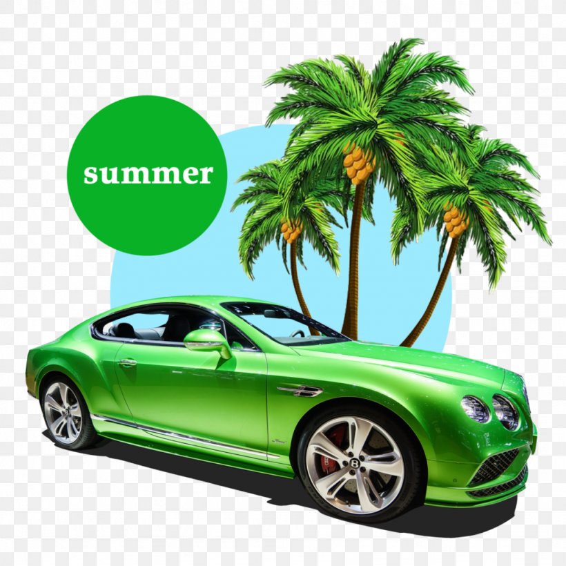 Coconut Arecaceae Tree Cartoon, PNG, 1024x1024px, Coconut, Animation, Arecaceae, Automotive Design, Automotive Exterior Download Free