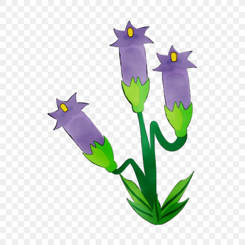 Flowering Plant Plant Stem Purple Plants, PNG, 1008x1008px, Flower, Bellflower, Bellflower Family, Crocus, Flowering Plant Download Free