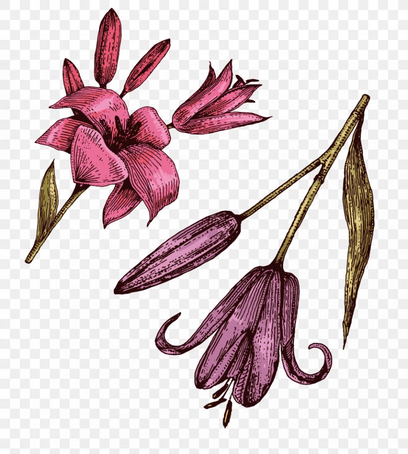 Petal Lilium Purple Red, PNG, 856x952px, Petal, Cut Flowers, Flora, Flower, Flowering Plant Download Free