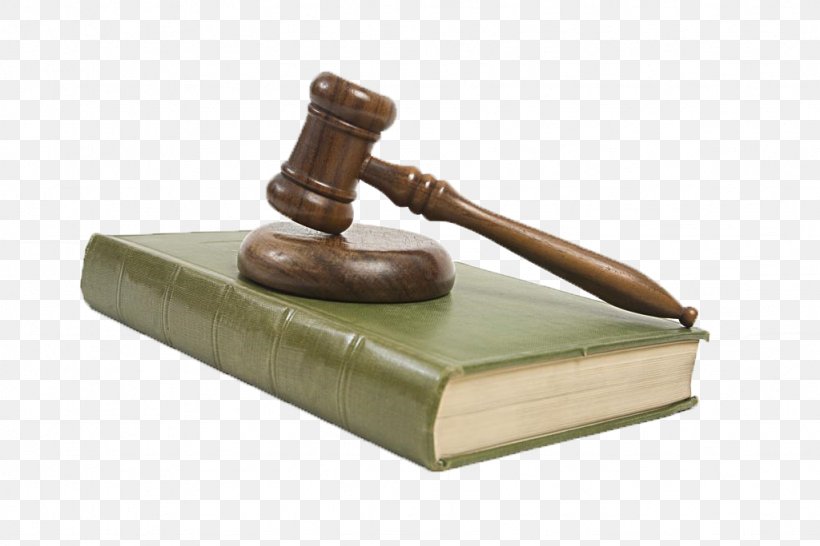 Public Law Statute Criminal Law Property, PNG, 1024x683px, Law, Civil Law, Contract, Court, Criminal Law Download Free
