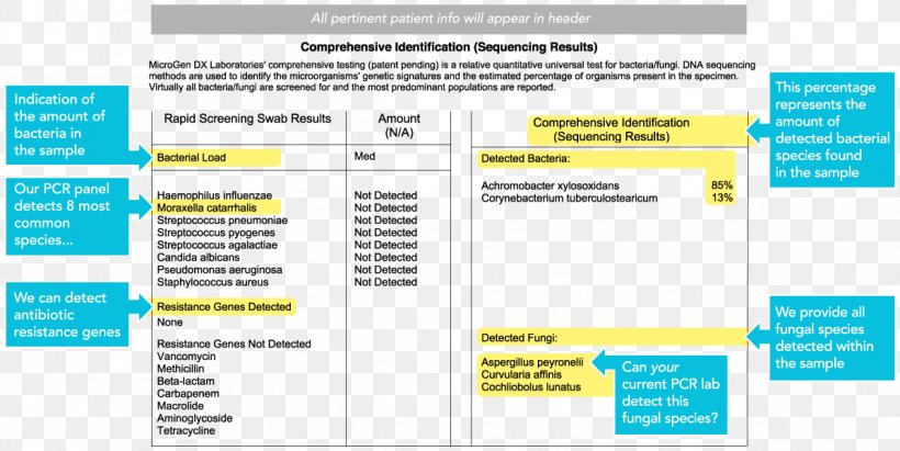 The Polymerase Chain Reaction Web Page Form, PNG, 1195x600px, Polymerase Chain Reaction, Application For Employment, Area, Brand, Chain Reaction Download Free