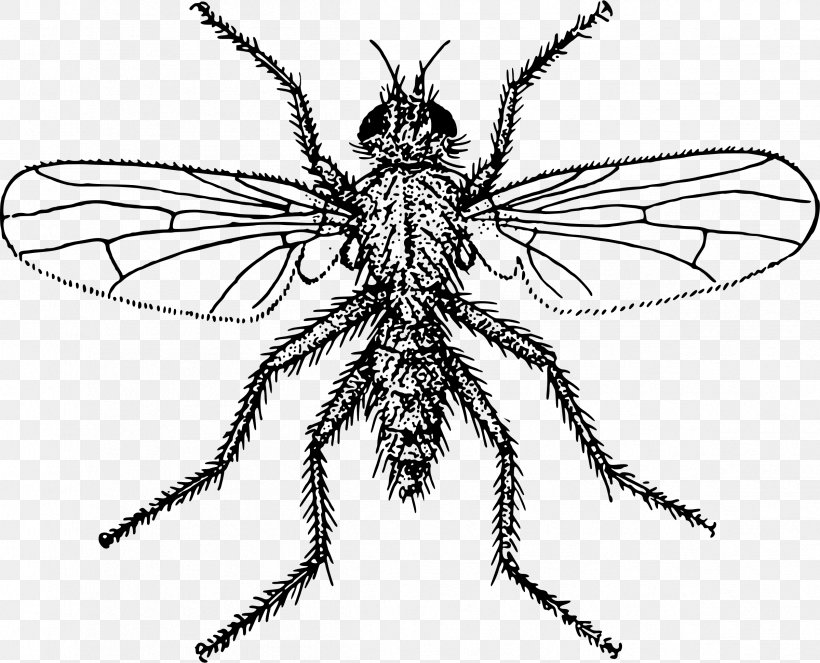 Public Domain Drawing Clip Art, PNG, 2399x1942px, Public Domain, Arthropod, Bee, Black And White, Drawing Download Free