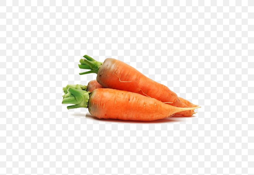Baby Carrot Carrot Soup Carrot Seed Oil Vegetable, PNG, 564x564px, Carrot, Baby Carrot, Carrot Seed Oil, Carrot Soup, Chinese Cabbage Download Free