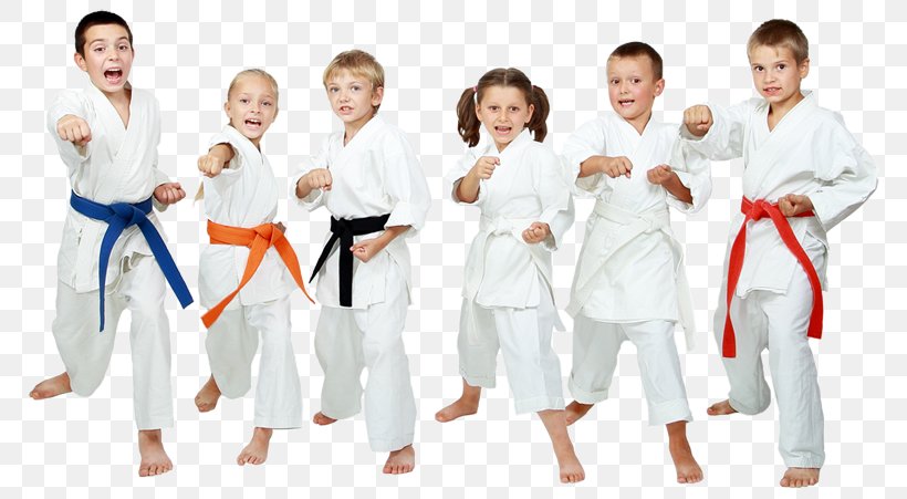 Karate Martial Arts Gōjū-ryū Kenpō Child, PNG, 800x451px, Watercolor, Cartoon, Flower, Frame, Heart Download Free