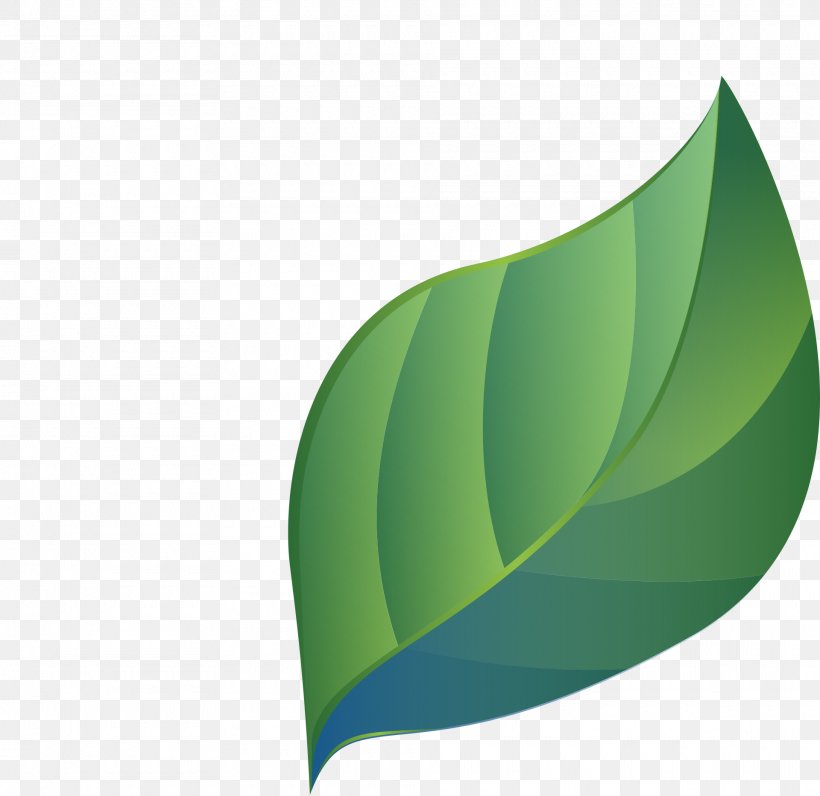 Leaf Green Vector Graphics Pixabay, PNG, 1920x1866px, Leaf, Education, Grass, Green, Mineral Download Free
