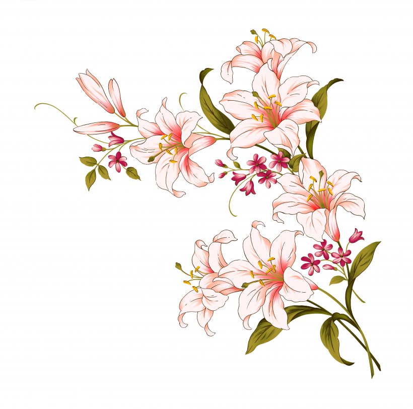 Lilium Candidum Flower Arum-lily, PNG, 4325x4285px, Flower, Alstroemeriaceae, Art, Blossom, Branch Download Free