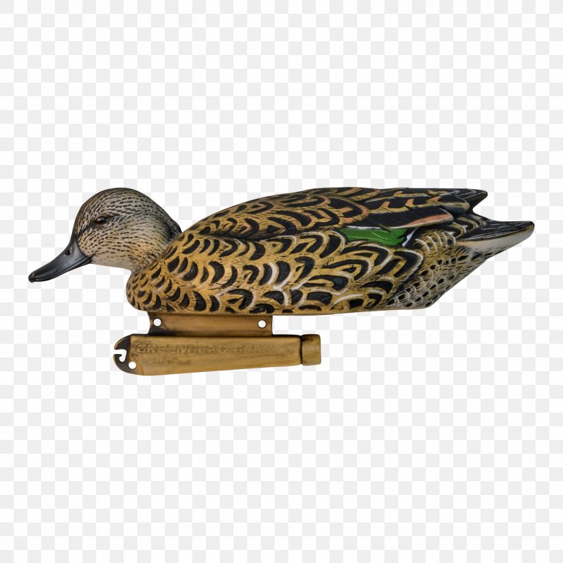 Mallard Duck Beak Feather, PNG, 1600x1600px, Mallard, Beak, Bird, Duck, Ducks Geese And Swans Download Free