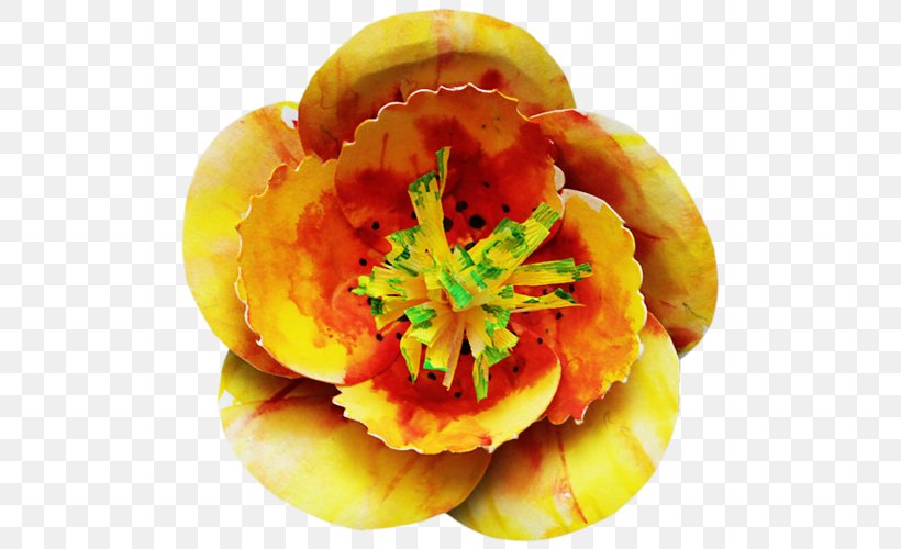 Orange S.A. Fruit, PNG, 500x500px, Orange Sa, Fruit, Orange, Petal Download Free