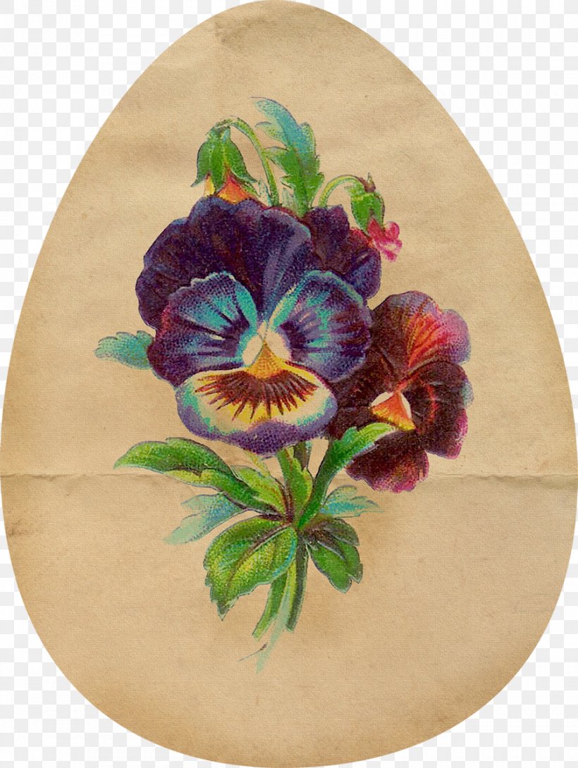 Pansy Floral Design Flower Art Clip Art, PNG, 902x1200px, Pansy, Art, Botanical Illustration, Cut Flowers, Dishware Download Free