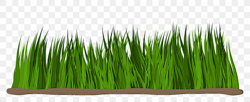 Wheatgrass Commodity, PNG, 1920x790px, Wheatgrass, Commodity Download Free