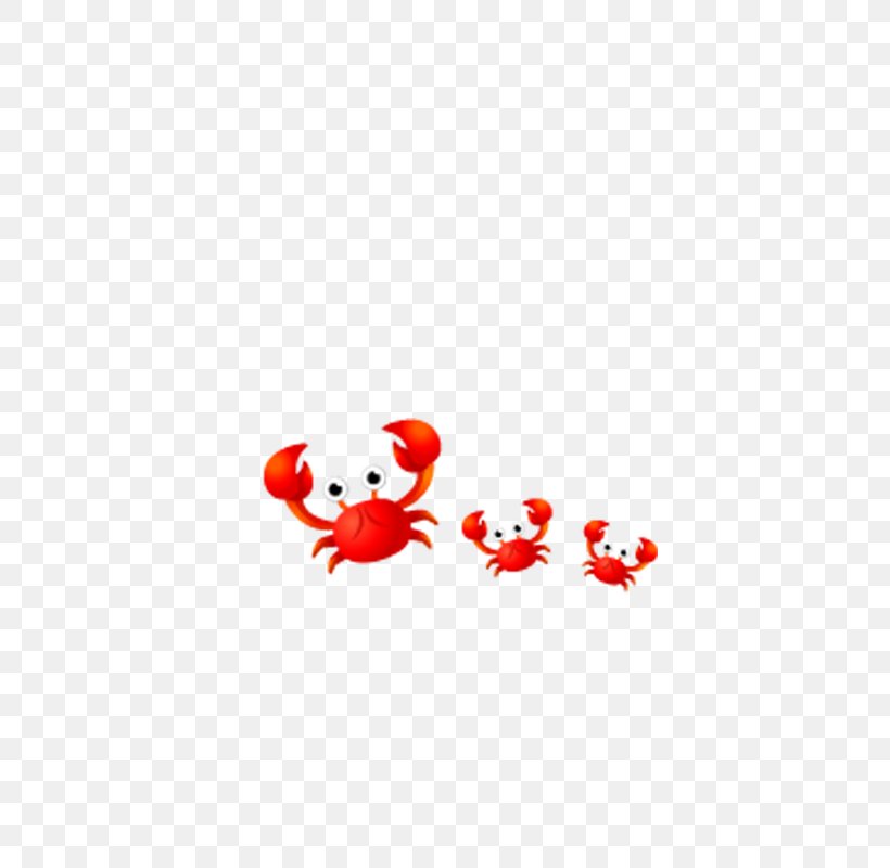 Crabe Animal, PNG, 800x800px, Crab, Animal, Beach, Chinese Mitten Crab, Crabe Download Free