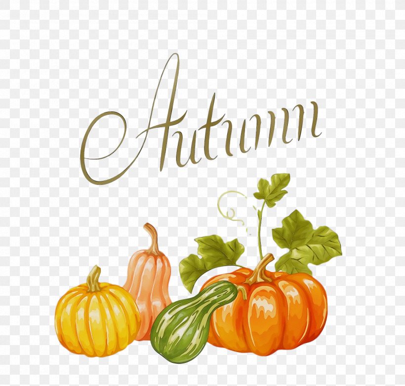 Pumpkin, PNG, 2000x1912px, Thanksgiving, Autumn, Calabaza, Cucurbita Maxima, Field Pumpkin Download Free