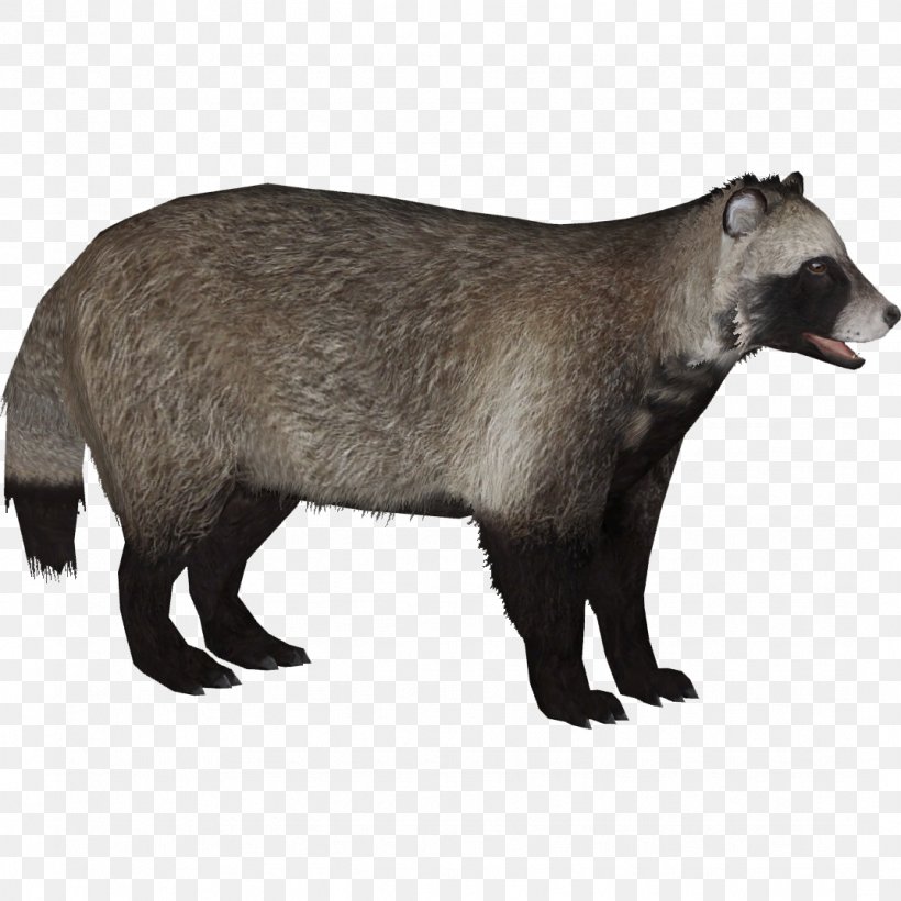 Raccoon Dog Badger Raccoon Dog Canidae, PNG, 1073x1073px, Raccoon, Badger, Canidae, Carnivoran, Dog Download Free