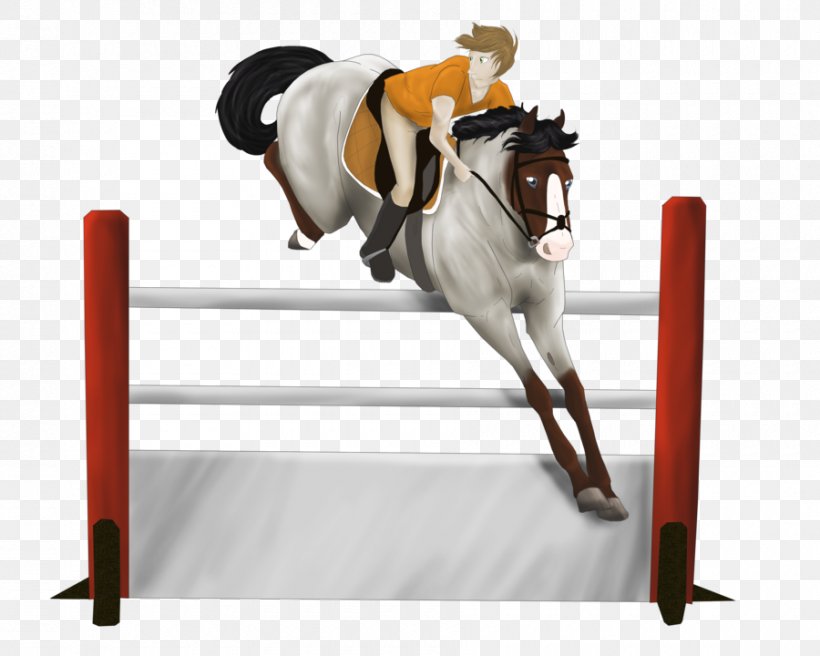 Show Jumping Hunt Seat Rein Stallion Equitation, PNG, 900x720px, Show Jumping, Animal Sports, Bridle, English Riding, Equestrian Download Free