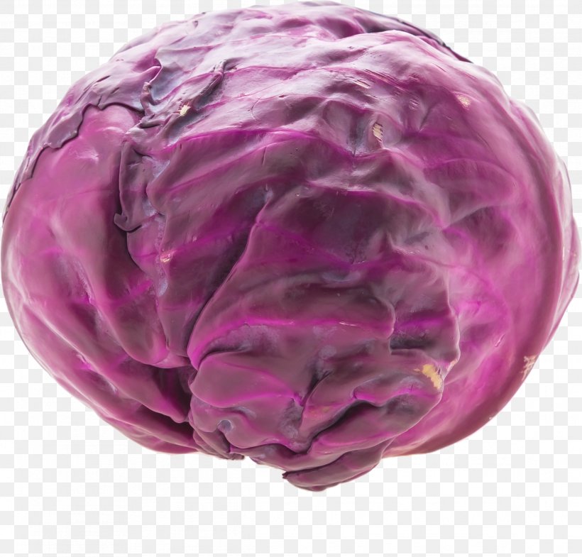 Cabbage Icon, PNG, 2328x2230px, Cabbage, Computer Network, Google, Google Images, Google Play Download Free