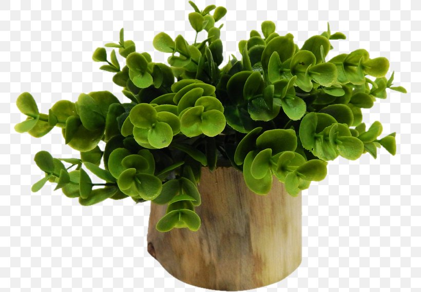 Flowerpot Houseplant Window Blinds & Shades, PNG, 768x568px, Flowerpot, Bonsai, Dining Room, Eucalyptus Gunnii, Furniture Download Free