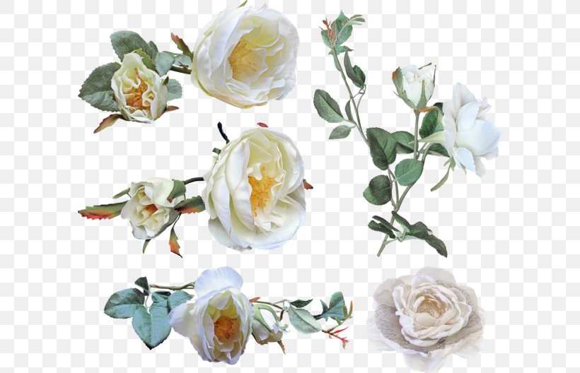 Garden Roses Cabbage Rose Floral Design Cut Flowers, PNG, 600x528px, Garden Roses, Artificial Flower, Cabbage Rose, Cut Flowers, Floral Design Download Free