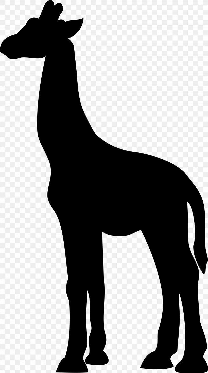 Mustang Dog Mammal Donkey Giraffids, PNG, 4000x7188px, Mustang, Animal, Animal Figure, Black M, Blackandwhite Download Free