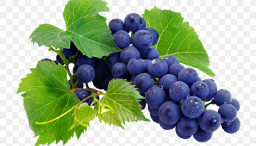 Wine Grape Juice Grapevines Nebbiolo, PNG, 1024x585px, Wine, Berry, Bilberry, Blueberry, Food Download Free