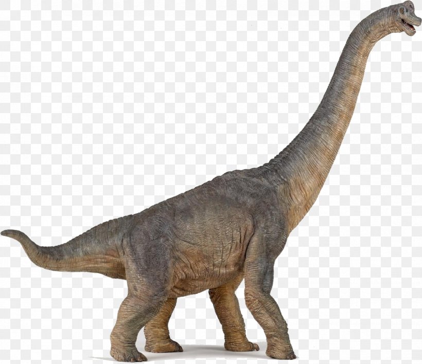 Brachiosaurus Velociraptor Stegosaurus Apatosaurus Morrison Formation, PNG, 1661x1435px, Brachiosaurus, Animal Figure, Apatosaurus, Baryonyx, Carnegie Collection Download Free