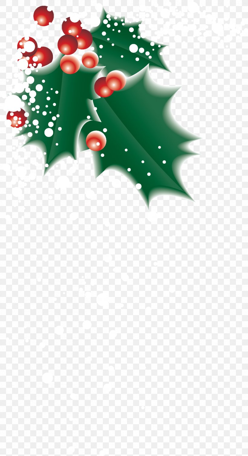 Christmas Clip Art, PNG, 1362x2500px, Christmas, Aquifoliaceae, Aquifoliales, Art, Branch Download Free