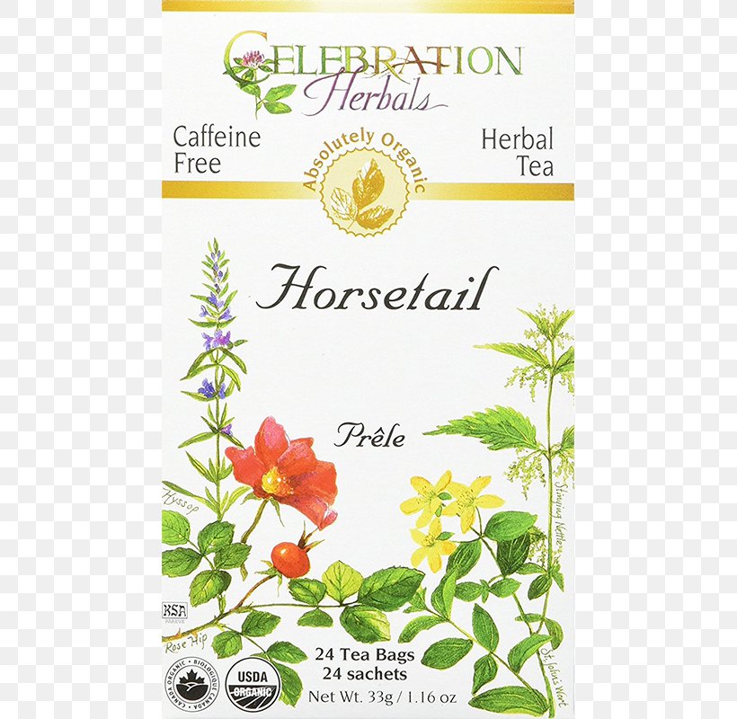 Tea Bag Organic Food White Tea Herbal Tea, PNG, 800x800px, Tea, Caffeine, Flora, Flower, Flowering Plant Download Free