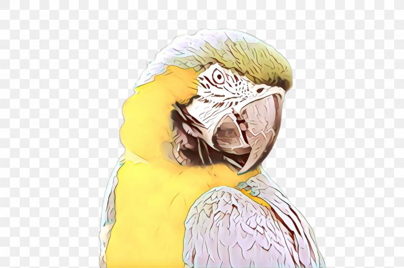 Beak Bird Of Prey Headgear Yellow, PNG, 2455x1628px, Cartoon, Beak, Bird, Bird Of Prey, Budgie Download Free