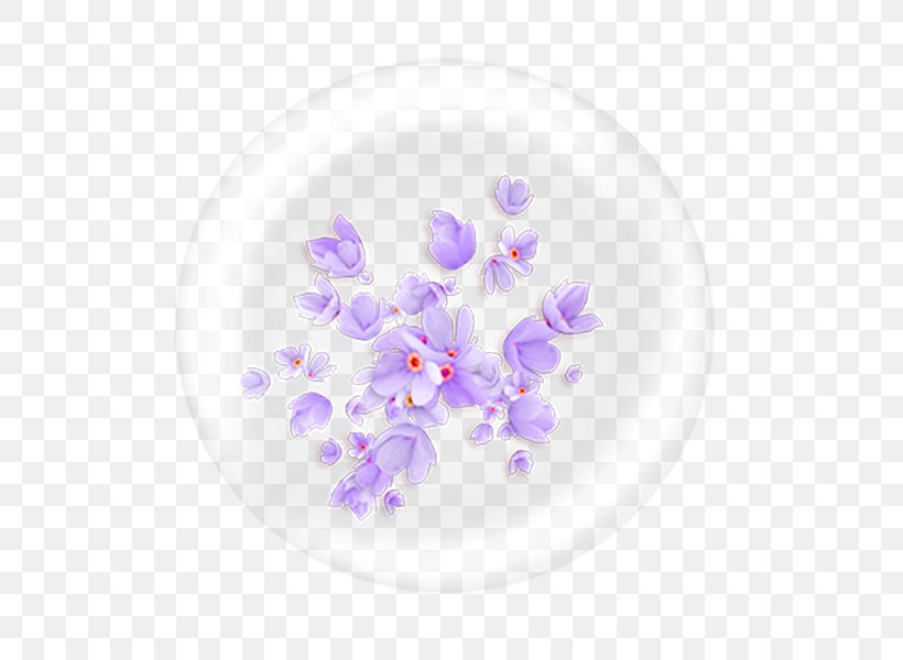Download Icon, PNG, 600x600px, Designer, Blossom, Branch, Computer Network, Flora Download Free