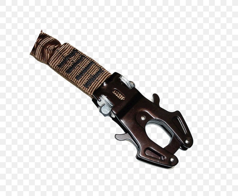 Lanyard Garmin Key Chains Carabiner Frog, PNG, 800x677px, Lanyard, Backpack, Belt, Carabiner, Cold Weapon Download Free