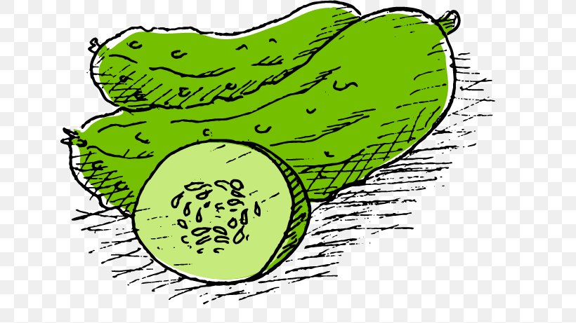 Cucumber Melon Pepino, PNG, 648x461px, Cucumber, Amphibian, Animation, Area, Cartoon Download Free