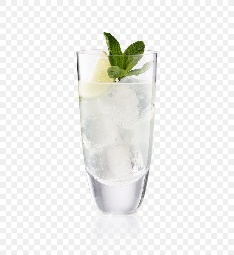 Rickey Vodka Tonic Gin And Tonic Cocktail Garnish Tonic Water, PNG, 600x896px, Rickey, Caipirinha, Cocktail, Cocktail Garnish, Drink Download Free