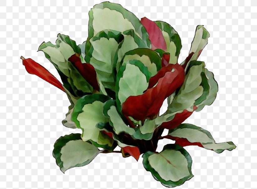 Artificial Flower, PNG, 698x604px, Watercolor, Anthurium, Artificial Flower, Cut Flowers, Flower Download Free