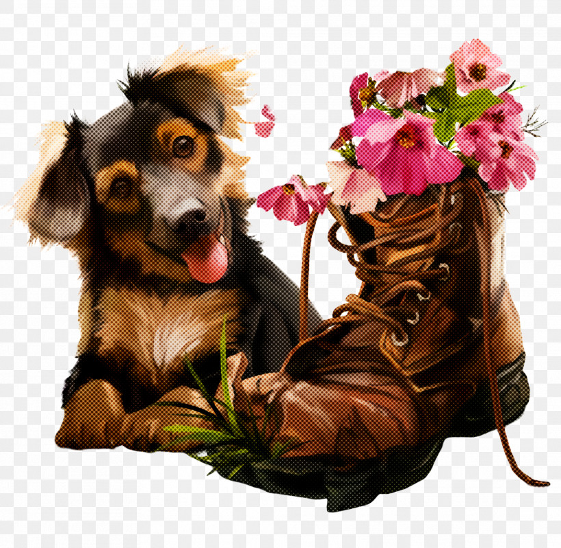 Dog Puppy Dachshund Sporting Group Companion Dog, PNG, 2023x1976px, Dog, Companion Dog, Dachshund, Flower, Plant Download Free