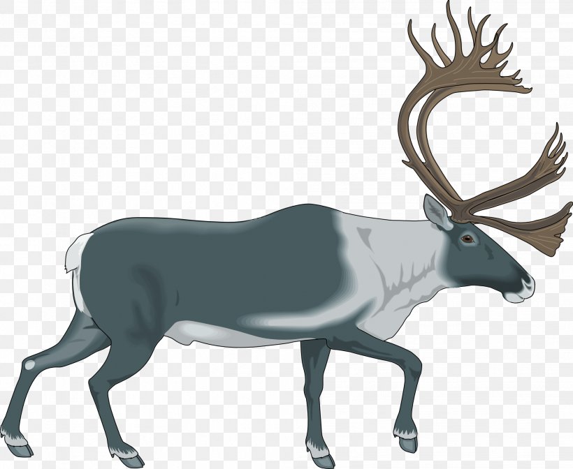Reindeer Elk Royalty-free Clip Art, PNG, 1979x1622px, Reindeer, Antelope, Antler, Blog, Deer Download Free