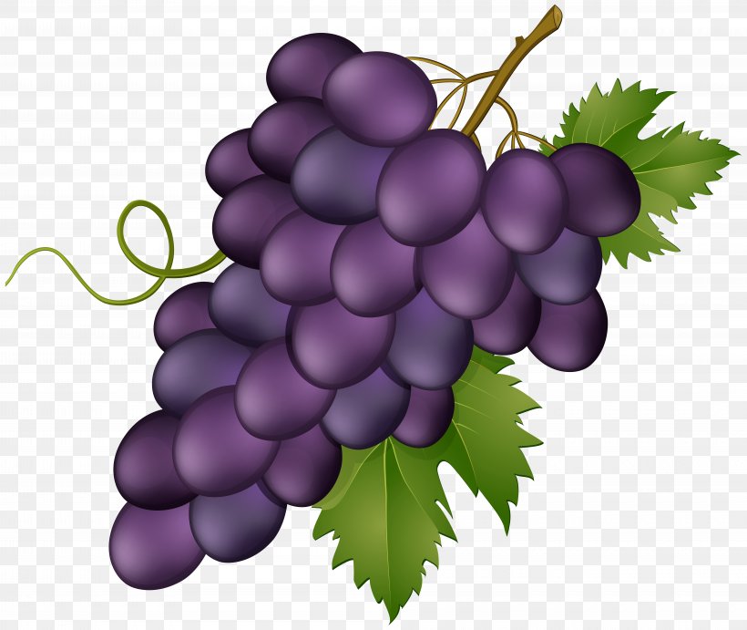Grape Clip Art Image Wine, PNG, 8000x6746px, Grape, Extract, Flowering Plant, Food, Fruit Download Free