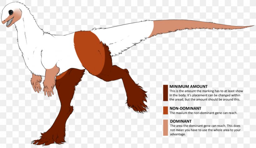 Okapi Dinosaur Drawing Rapetosaurus Beak, PNG, 1024x592px, Okapi, Animal Figure, Area, Beak, Color Download Free