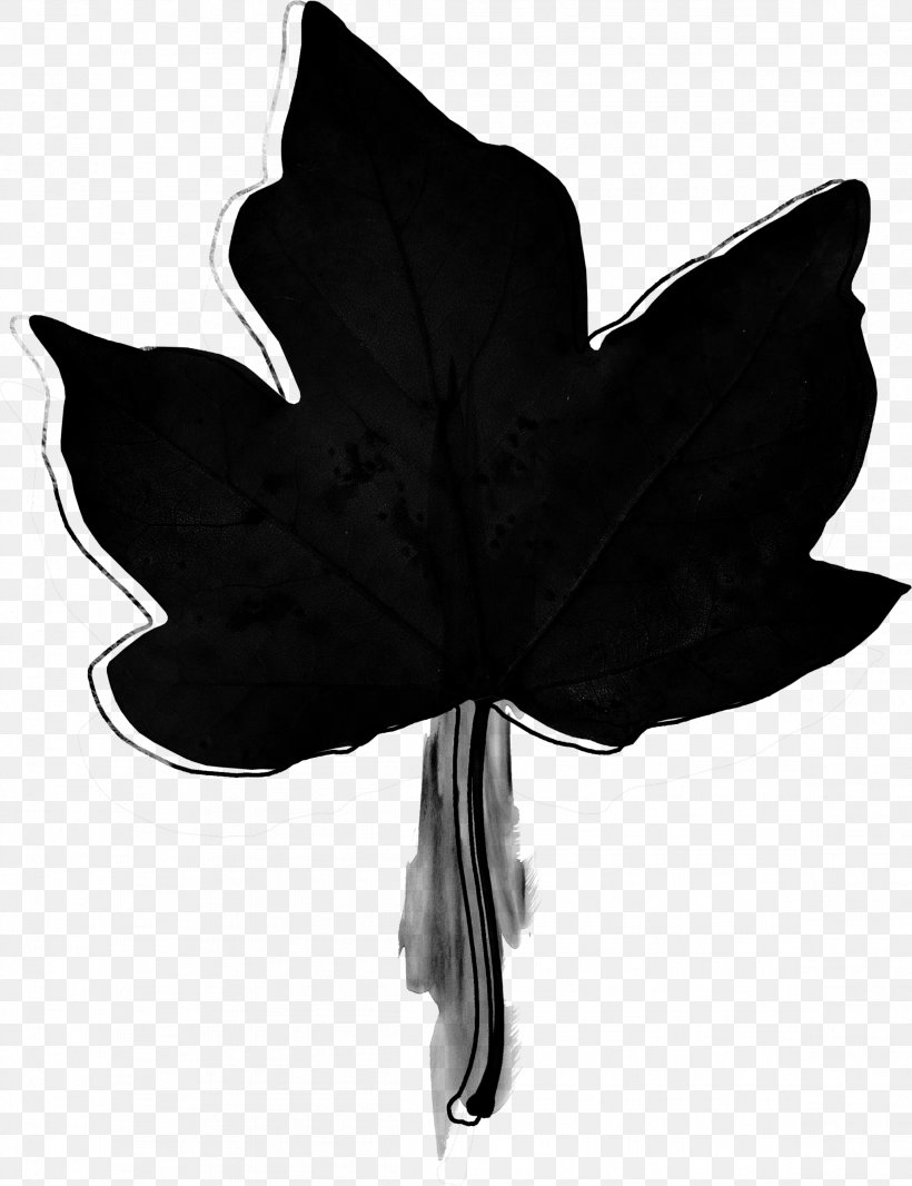 Photography Black And White Clip Art, PNG, 2323x3021px, Photography, Black And White, Designer, Film Frame, Flower Download Free