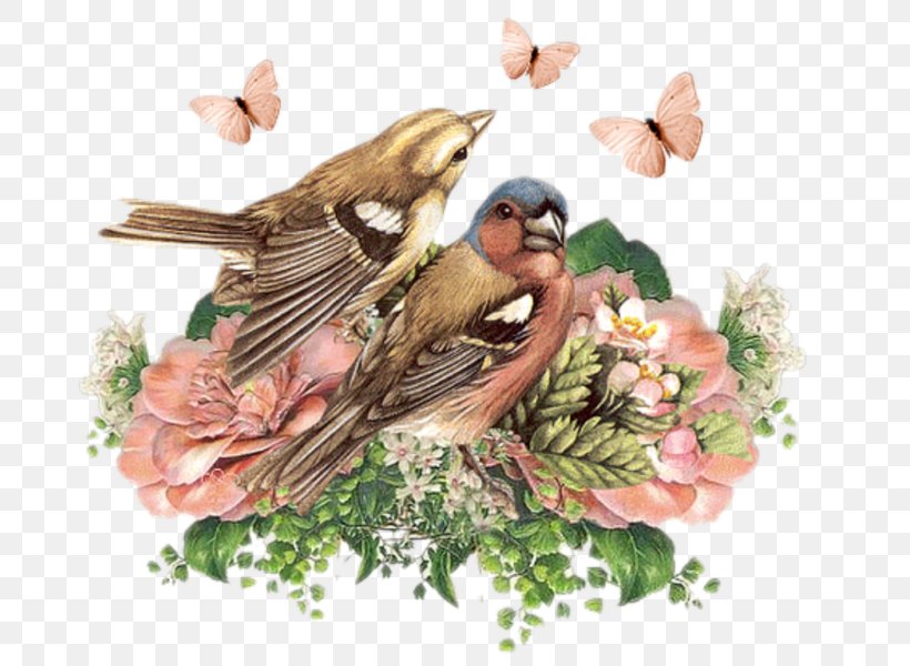 Bird Paper Flower House Sparrow Decoupage, PNG, 800x600px, Bird, Clock, Decorative Arts, Decoupage, Floral Design Download Free